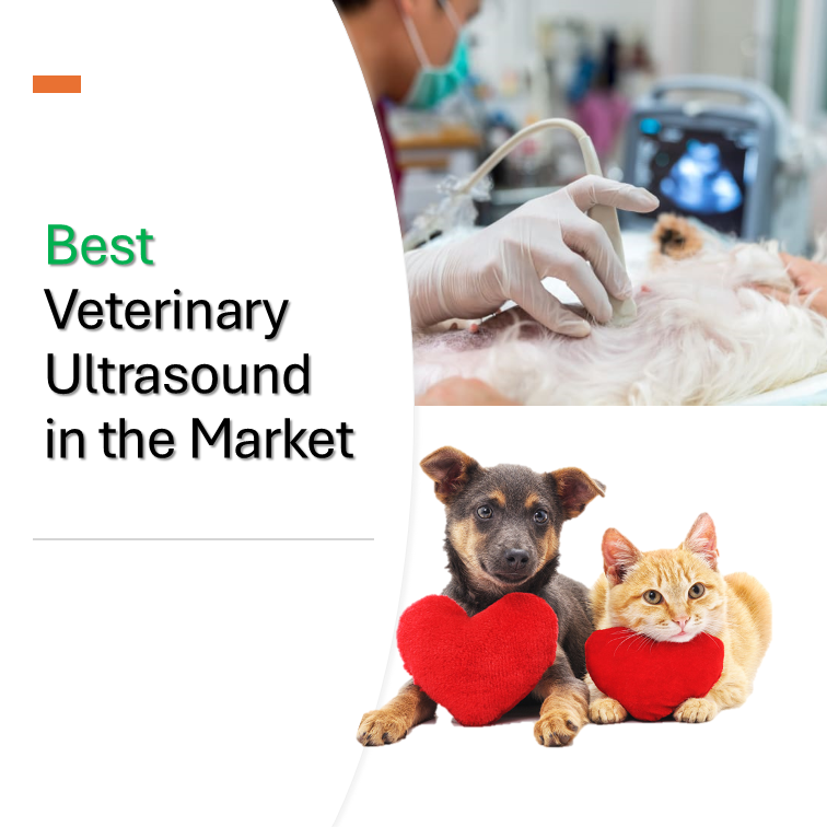 best veterinary ultrasound machine