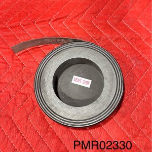 Philips burst disk MRI
