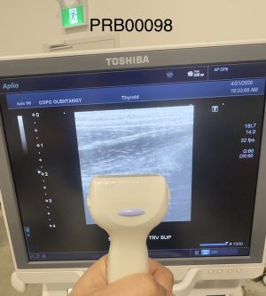 Toshiba PLT-1204BT Linear Array Probe Probe