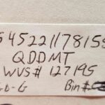 QDD MT QDD MT MRI