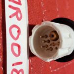 Philips C1 Coil 1.5T Philips C1 Coil 1.5T MRI
