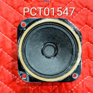 Speaker Speaker CT Scan