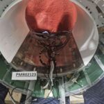 Philips Body Coil 1.5 T Philips Body Coil 1.5 T MRI