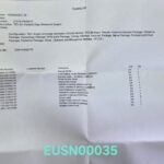 Mindray TE5 Ultrasound