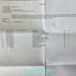 Mindray TE5 Ultrasound