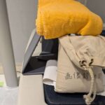 GE Bone Densitometer Lunar Prodigy-YOM 2010 GE Lunar Prodigy-YOM 2010 Bone Densitometer