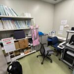 GE BMD Lunar Prodigy Bone Densitometer
